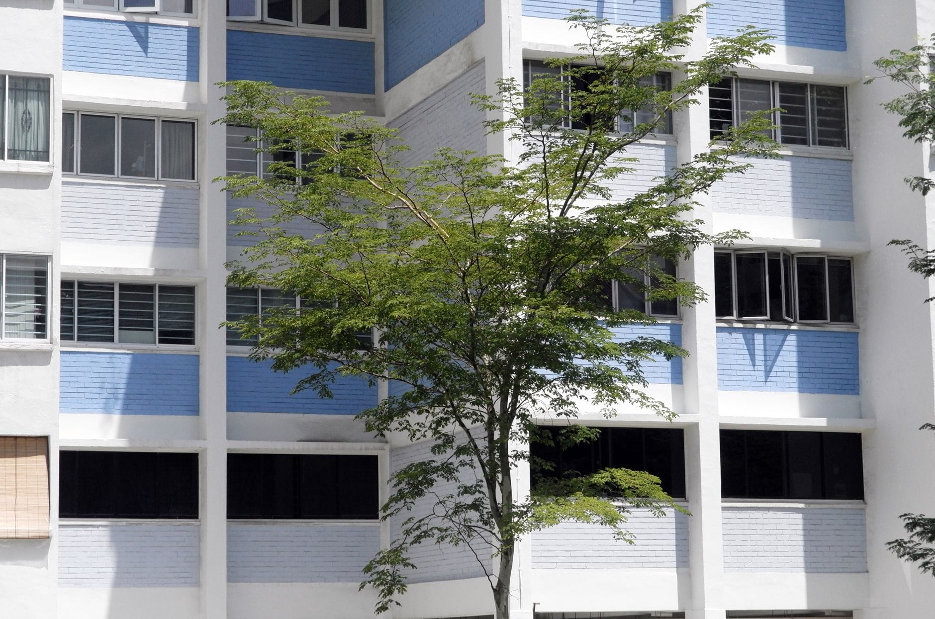 Condo VIP Sales Under Scrutiny as Agents Secure First-Dibs