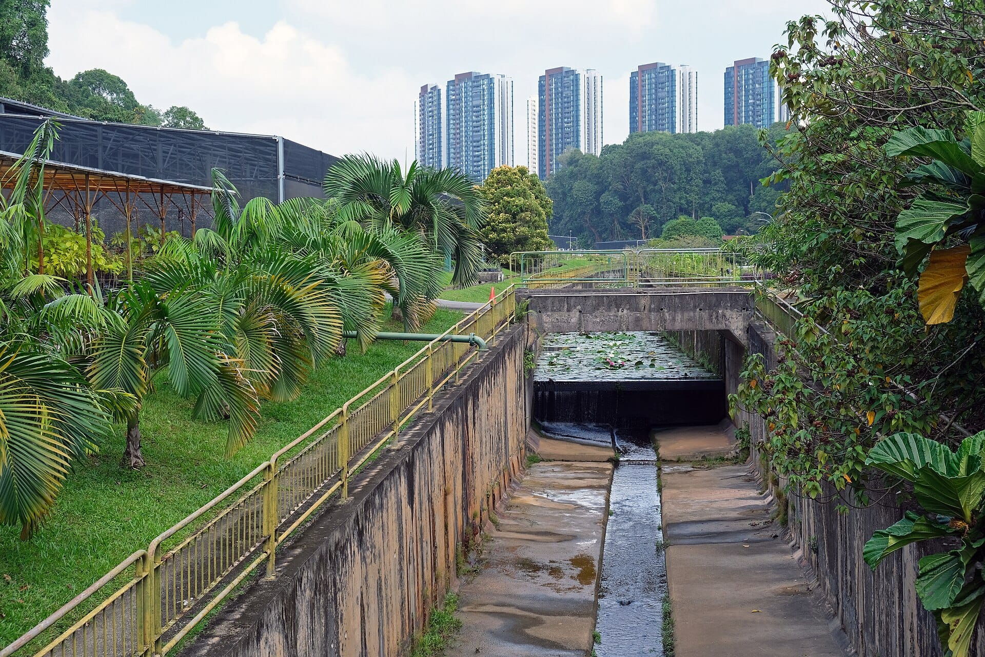 Chuan Grove and Plymouth Avenue Reserve List Sites Could Yield 1,180 Homes: What Happens Next