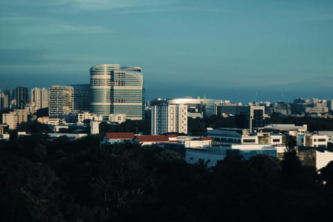 Chinese Capital Flows Into Singapore Property Market: S$3.8B Surge