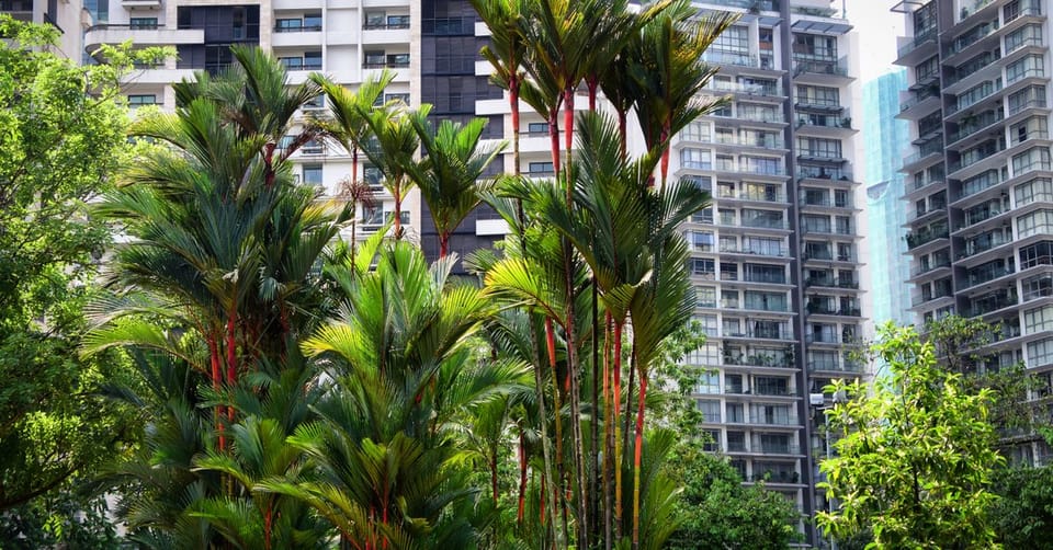 Kuala Lumpur Retirement Property Guide for Former Singapore and Hong Kong Expats