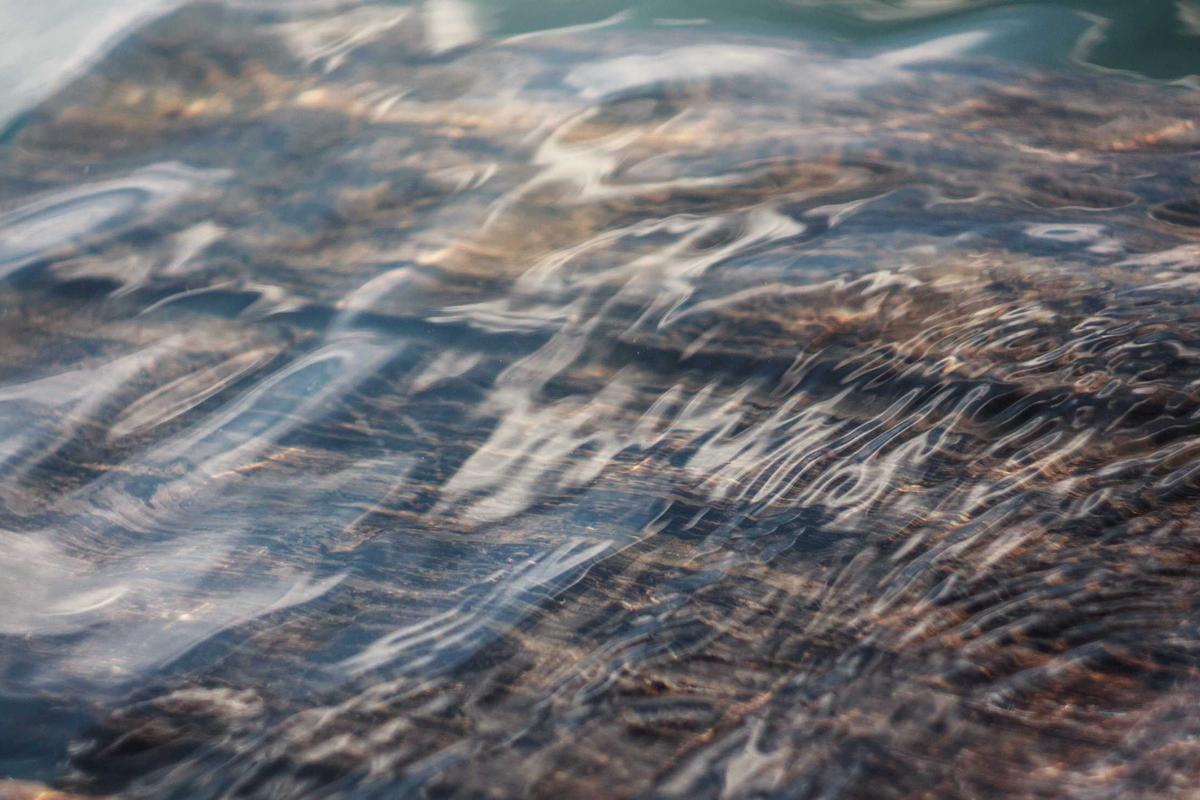 <strong>Nearly 40% of all homes for sale have had their prices reduced.</strong>