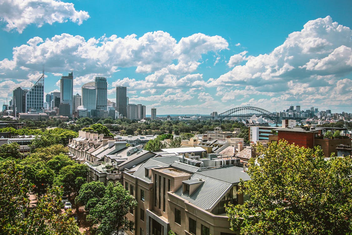 How the Australian real estate market has progressed over the past year.