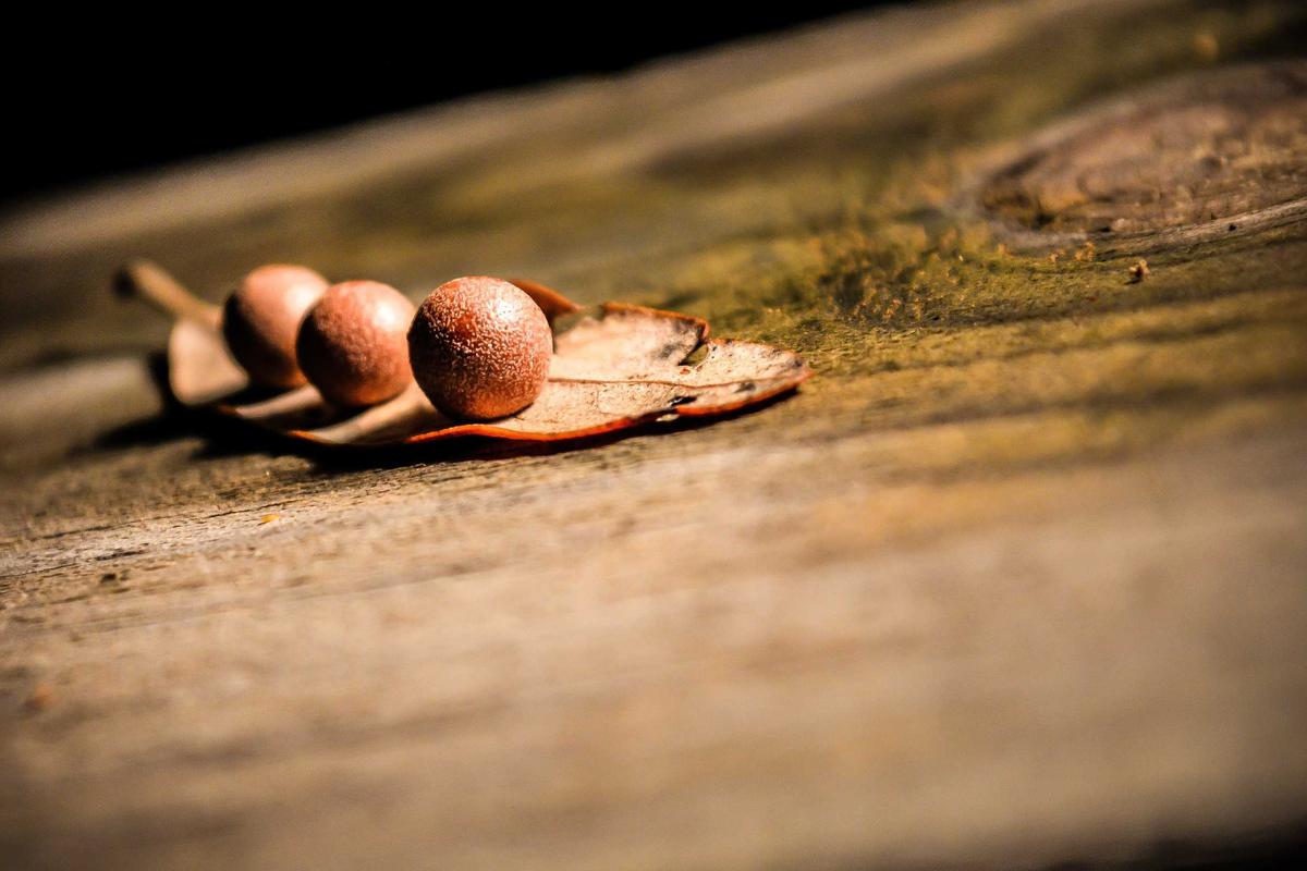 Cyclone Gabriel: New Zealand searches for missing as death toll rises